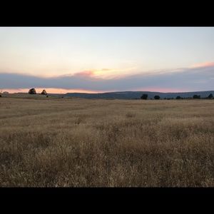 Meet your Posher, Robin